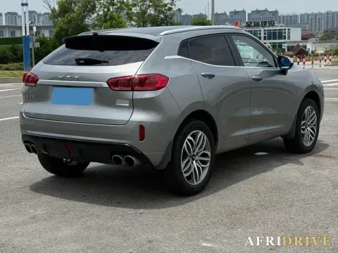 2019 WEY VV5 8