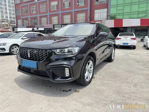2020 WEY VV5