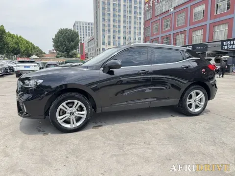 2020 WEY VV5 3