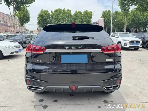 2020 WEY VV5 7
