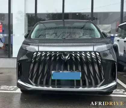 2026 ARCFOX Wendao V9 2