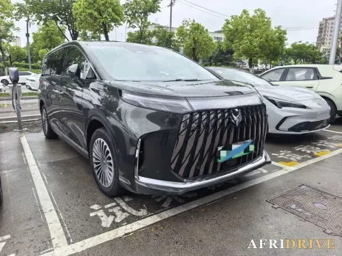 2026 ARCFOX Wendao V9 3