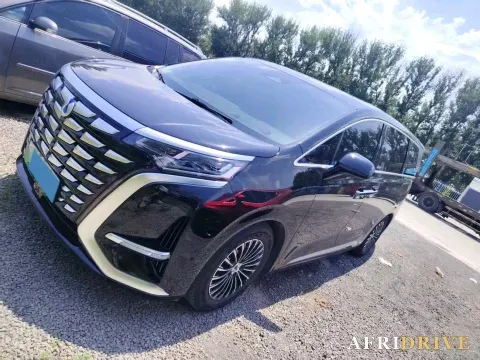 2024 Denza D9