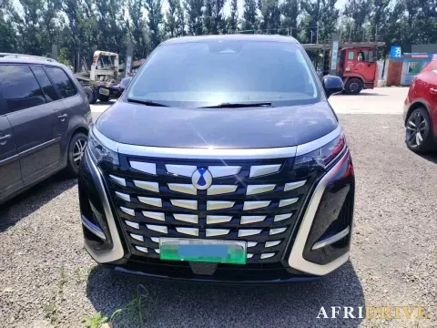 2024 Denza D9 2