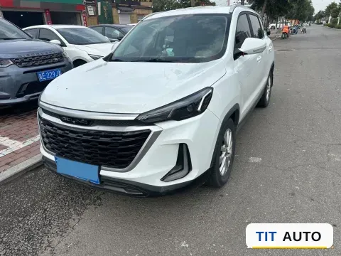 2019 BeiJing Auto X3