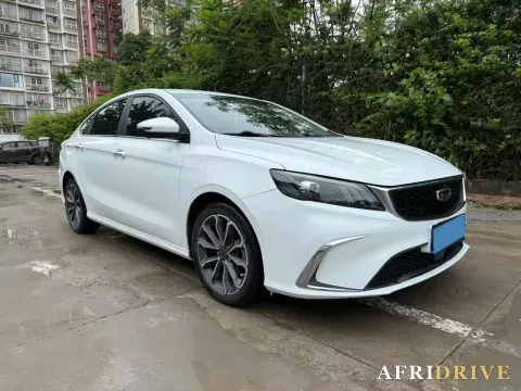 2020 DaYun Pickup 2
