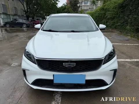2020 DaYun Pickup 3