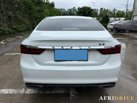 2020 DaYun Pickup 5