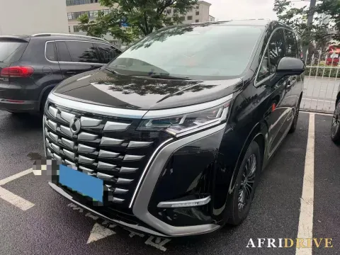 2024 Denza D9