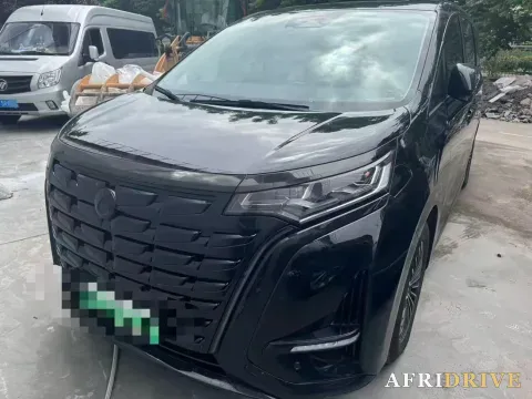 2024 Denza D9 2