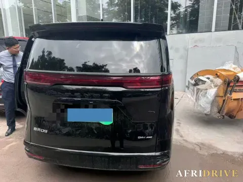 2024 Denza D9 8