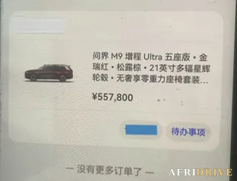 2025 AITO M9 11