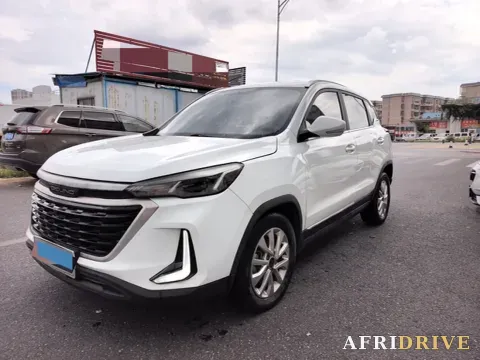 2019 BeiJing Auto X3