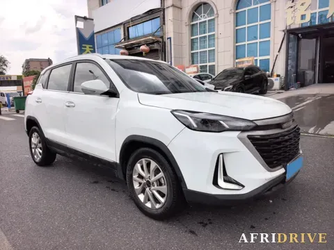 2019 BeiJing Auto X3 2