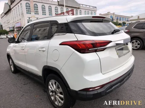 2019 BeiJing Auto X3 7
