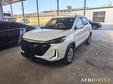 2021 BeiJing Auto X3