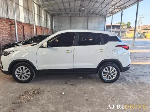 2021 BeiJing Auto X3 3