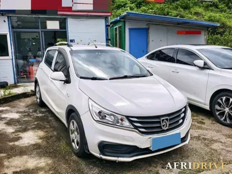 2016 BaoJun 310 2