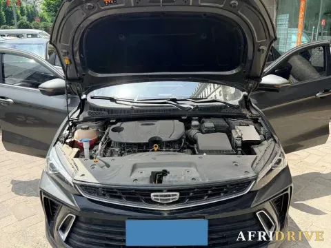 2022 Geely Binray 13