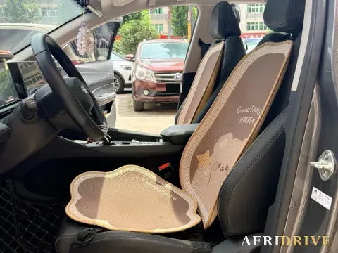 2022 Geely Binray 9
