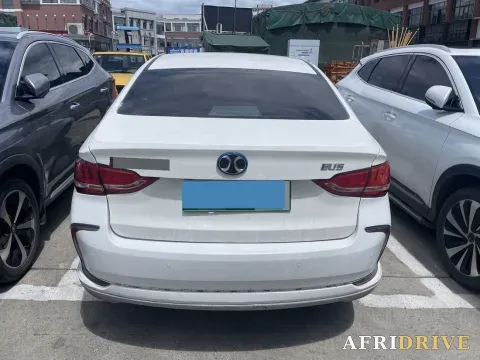 2018 BeiJing Auto EU5 3