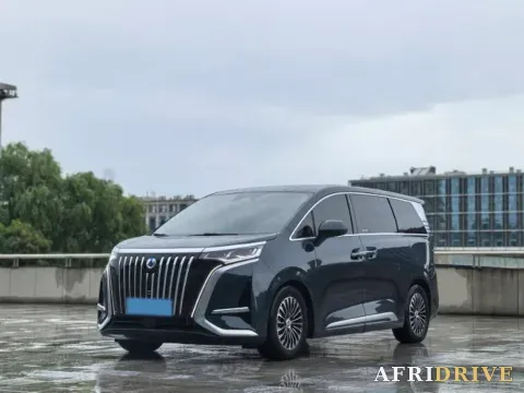 2024 Denza D9