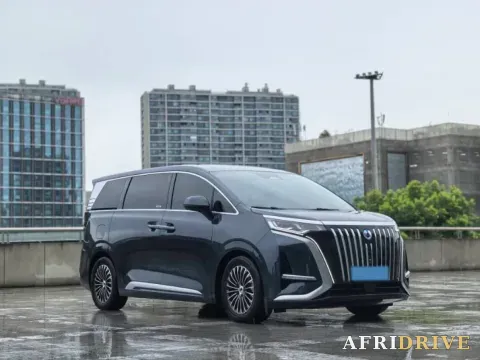 2024 Denza D9 3