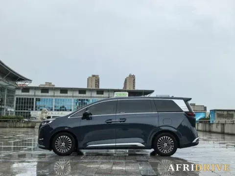 2024 Denza D9 4