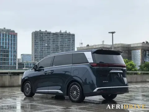 2024 Denza D9 6