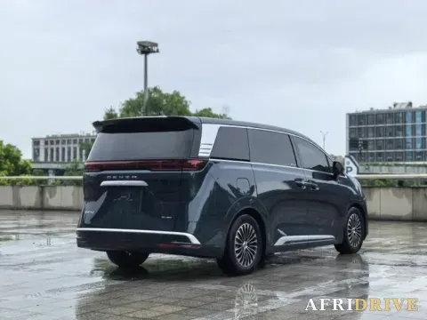2024 Denza D9 7