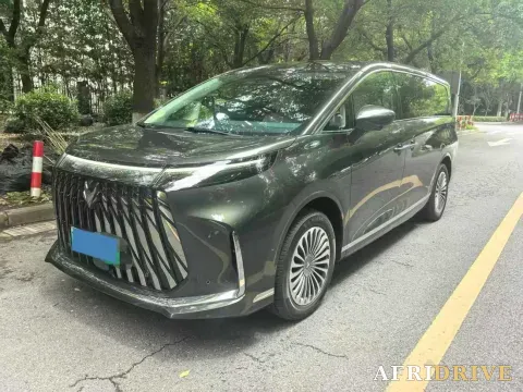 2026 ARCFOX Wendao V9