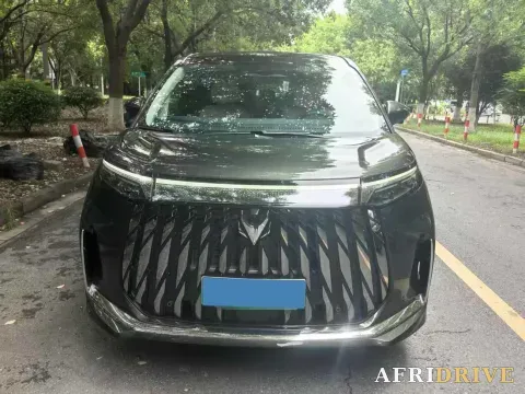 2026 ARCFOX Wendao V9 2