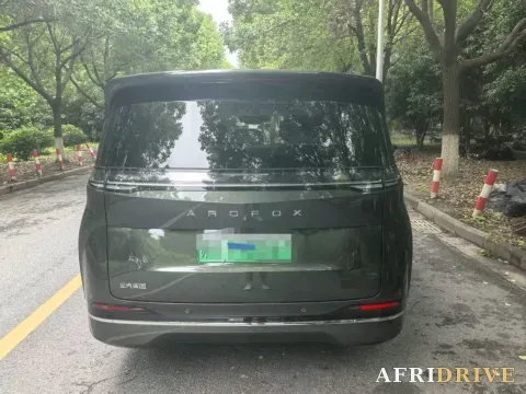 2026 ARCFOX Wendao V9 3