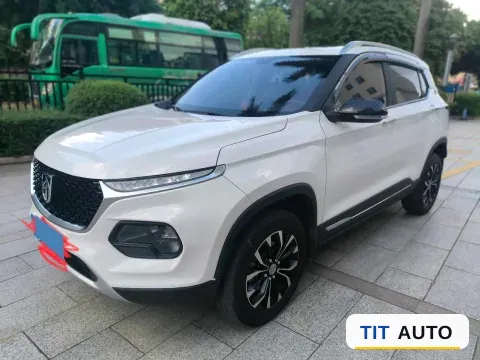 2019 BaoJun 510