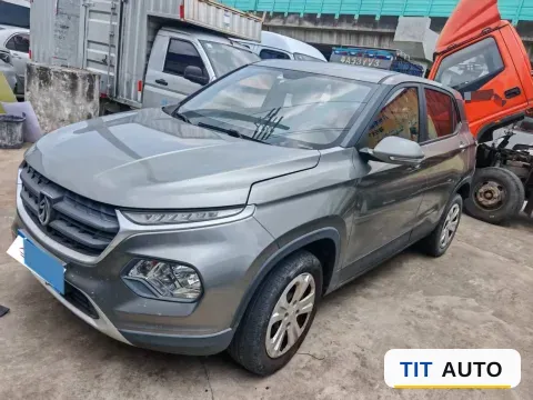 2019 BaoJun 510