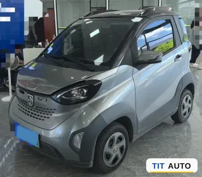 2019 BaoJun E100