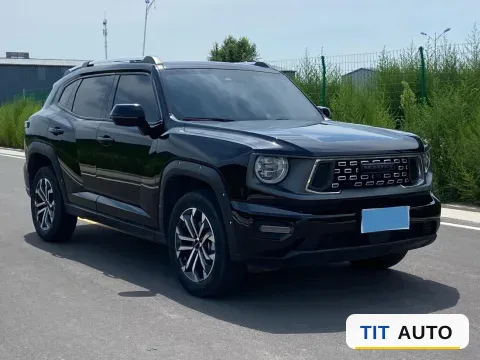 2023 Haval Dargo PLUS 3