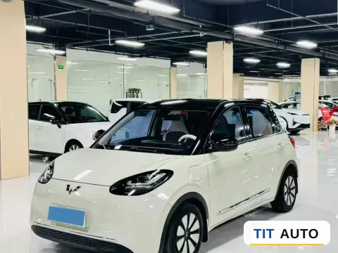 2023 WuLing BinGuo