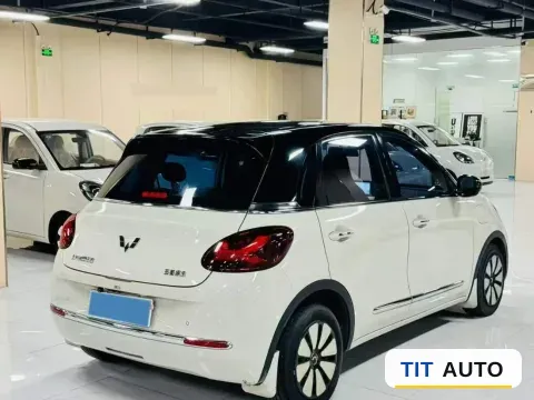 2023 WuLing BinGuo 2