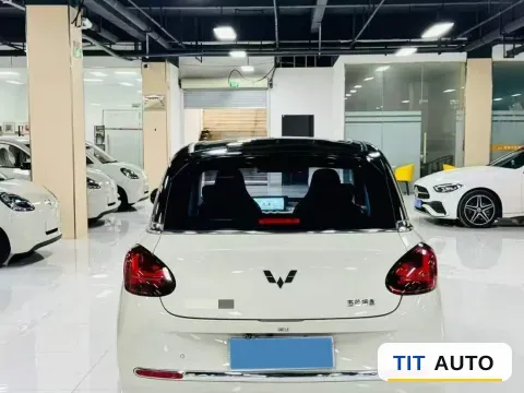 2023 WuLing BinGuo 3
