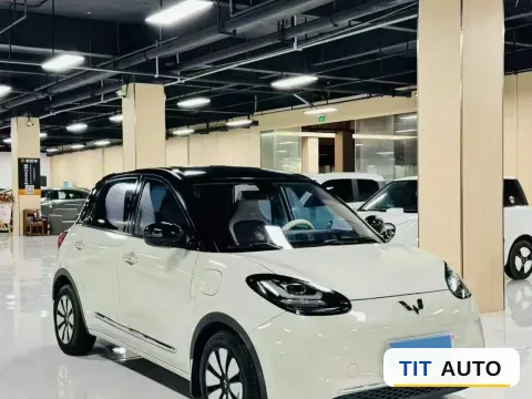 2023 WuLing BinGuo 4