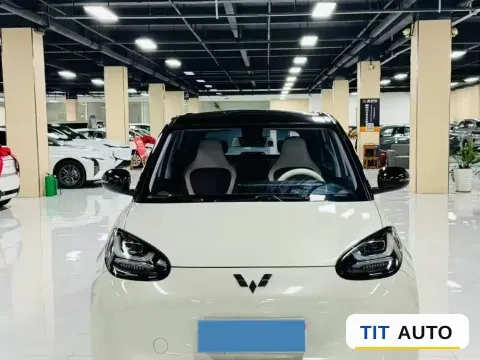 2023 WuLing BinGuo 5