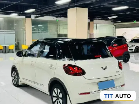 2023 WuLing BinGuo 6