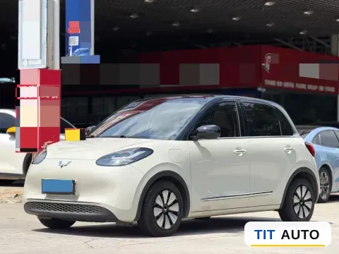 2023 WuLing BinGuo