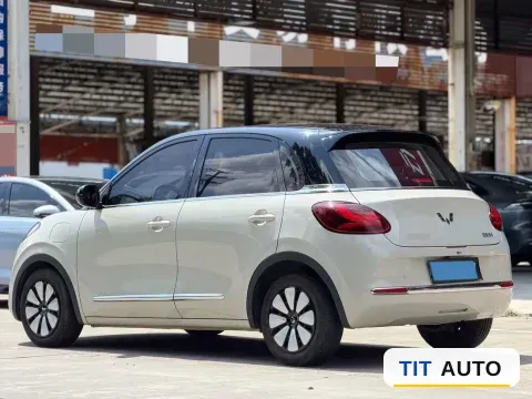 2023 WuLing BinGuo 4