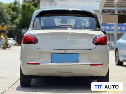 2023 WuLing BinGuo 5