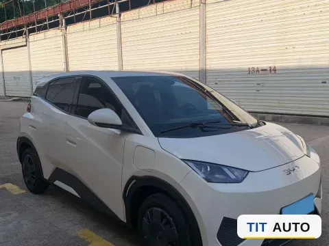 2025 BYD Seagull 3
