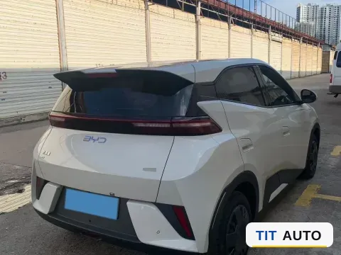 2025 BYD Seagull 6
