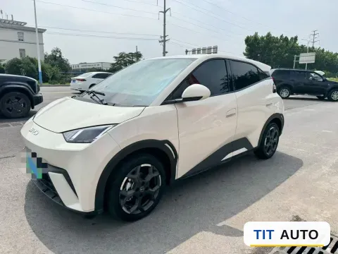 2024 BYD Seagull