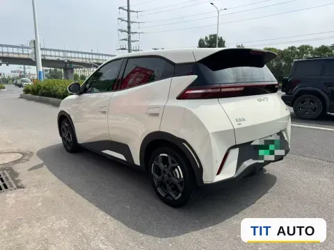 2024 BYD Seagull 4